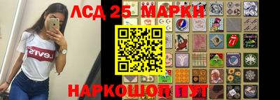 прущие грибы Ирбит