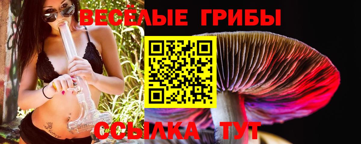 Псилоцибиновые грибы прущие грибы  Вход с VPN  Кунгур 